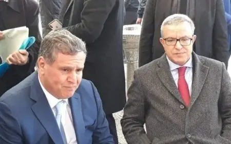 أخنوش يهنئ محمد أوجار بتعيينه على رأس البعثة المستقلة لتقصي الحقائق بليبيا
