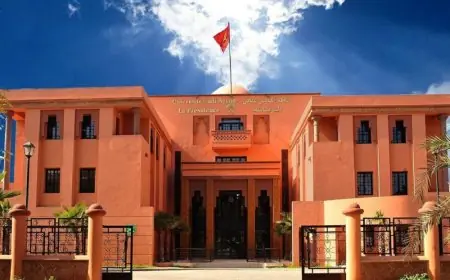 جامعة القاضي عياض تتخد حزمة من التدابير لانجاح الدخول الجامعي بجهة مراكش-اسفي