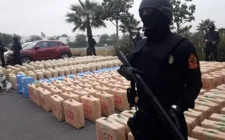 إيقاف 4 اشخاص وحجز 200 كيلوغرام من الحشيش بمدخل اكادير