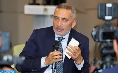 وزير الصناعة: كورونا بينت على قدرات المغرب وإفريقيا في الابتكار والاكتفاء بالذات