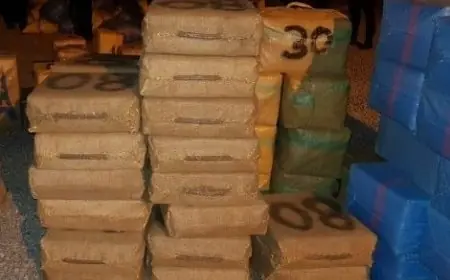 توقيف شحصين للاشتباه في تورطهما بشبكة للتهريب الدولي للمخدرات وحجز 940 كيلوغرام من مخدر الشيرا بمدينة الجديدة