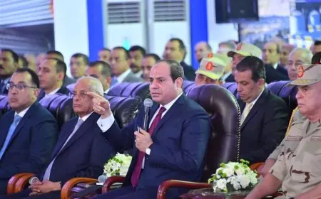 السيسي يحذر من تداعيات عدم الاستقرار ومحاولات "تدمير" مصر