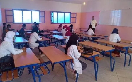 إكراهات الأنماط التربوية في زمن كورونا