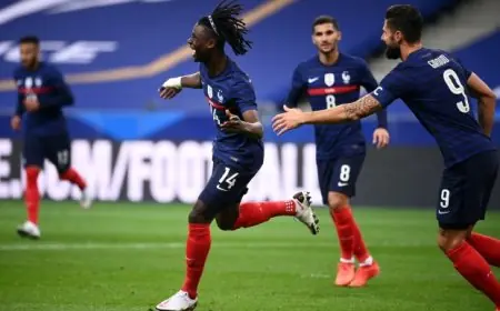 المنتخب الفرنسي يدك شباك اوكرانيا بسباعية
