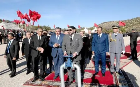 الملك يدعو إلى دعم صمود القطاع الفلاحي وتحفيز الشباب في العالم القروي