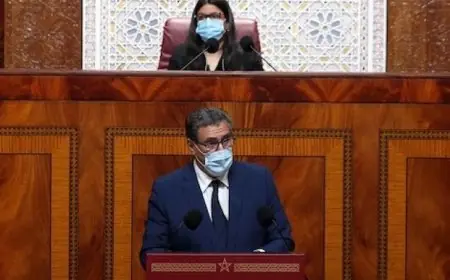 أخنوش: القطاع الفلاحي اليوم نضج وأصبحت لديه مناعة تمكنه من الوقوف في وجه المشاكل  التي يتعرض لها