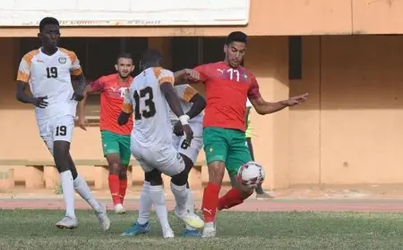 المنتخب المغربي للمحليين يفوز وديا على النيجر