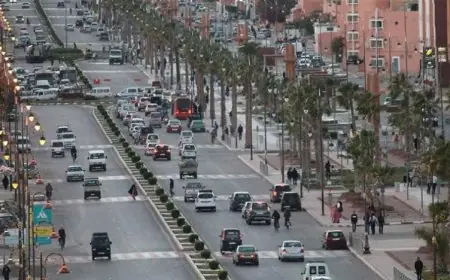 فرانس انفو: المغرب “يسرع الإدماج الاقتصادي” للصحراء