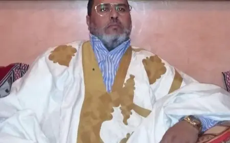 بكار السباعي يكتب.. النزاع المفتعل بالصحراء المغربية مقاربة من زوايا مختلفة
