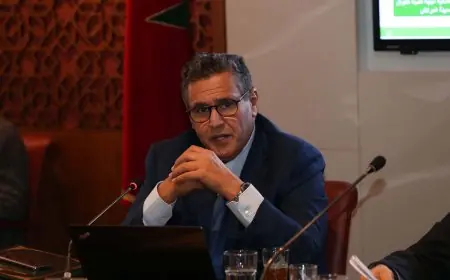 اخنوش يستعرض الخطوط العريضة لاستراتيجية "الجيل الأخضر 2020-2030″