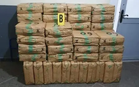 أكادير.. إحباط محاولة تهريب 2 طن و 890 كيلوغرام من مخدر الشيرا على متن شاحنتين لنقل البضائع