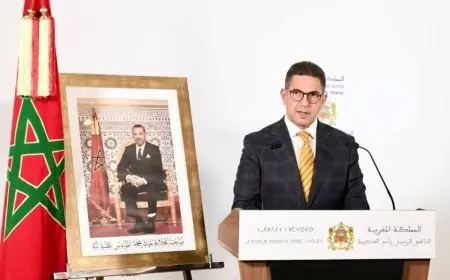 المغرب يقتني 65 مليون جرعة من اللقاحين المعتمدين والفئة المستهدفة بهذا اللقاح تبلغ 25 مليون نسمة