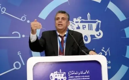 قرار وهبي بسبب ازمة داخل البام