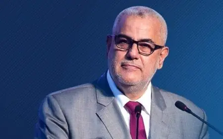 بنكيران يقطع علاقته بالعثماني والرميد والرباح والداودي وامكراز  ويجمد عضويته في حزب "البيجيدي"