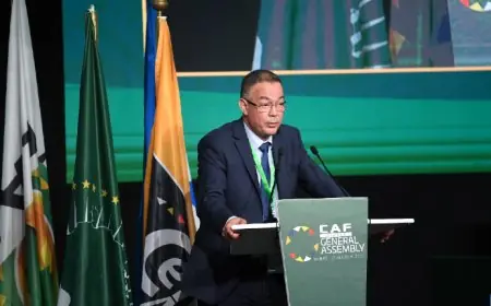 انتخاب فوزي لقجع عضوا بمجلس الاتحاد الدولي لكرة القدم