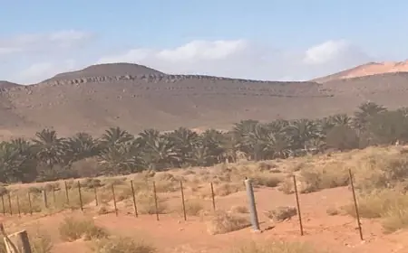 فجيح.. السلطات تتدخل في قضية  “طرد” فلاحي “العرجة” من اراضيهم