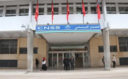 ال "CNSS" يعلن استفادة المهنيين من التغطية الصحية الإجبارية