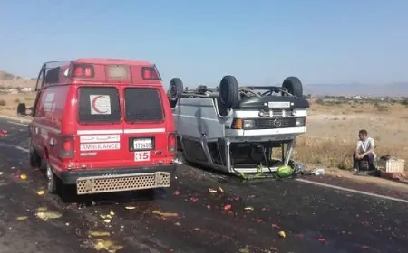 12 قتيل و2355 جريح في حوادث السير بالمجال الحضري خلال الأسبوع الماضي