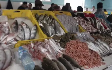 أسعار البيض والأسماك والحوامض ترتفع بالمغرب