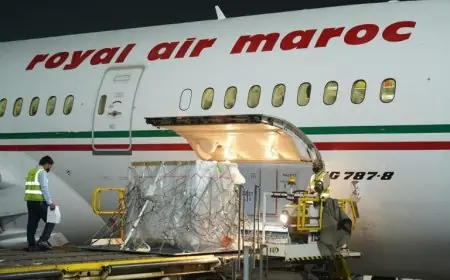 المغرب يتوصل بشحنة من لقاح "سينوفارم" الصيني