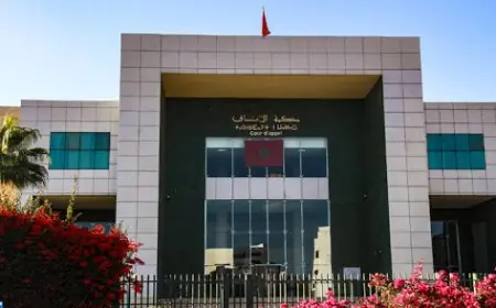 سرقة شيكات ووثائق بالملايير من خزنة رجل اعمال بأكادير تورط برلمانيين