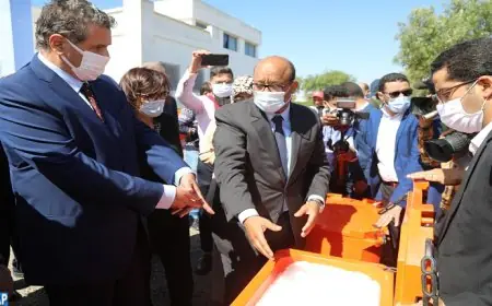 أخنوش يشرف على توزيع صناديق عازلة للحرارة لفائدة الصيادين التقليديين بإقليم اسفي