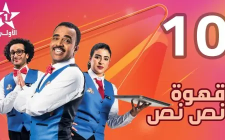 "الهاكا" تنتصر لحرية الابداع وترفض ايقاف برامج تلفزيونية