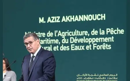 اخنوش: زراعة شجر الأركان الفلاحي بالمغرب ستصل إلى 50 ألف هكتار في أفق سنة 2030