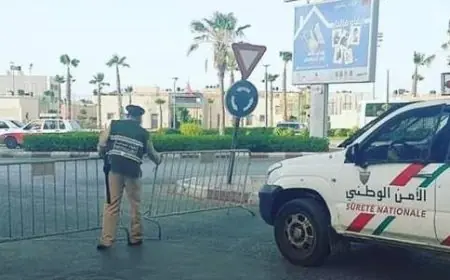 البروفيسور الابراهيمي: المغرب تجاوز مرحلة الخطر بفضل التلقيح و تخفيف اجراءات الاغلاق الاسبوع المقبل