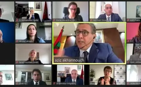 اخنوش يجري مباحثات مع رئيسة البنك الأوروبي لإعادة الاعمار والتنمية