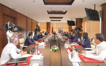 العثماني يلتقي الأمناء العامين للأحزاب السياسية لبحث تطورات الأزمة مع إسبانيا