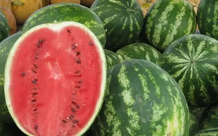 وزارة الفلاحة تنفي الإشاعات المتداولة بخصوص فاكهة "الدلاح"