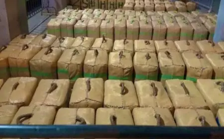 حجز 5 اطنان و820 كيلوغراما من المخدرات بالدارالبيضاء