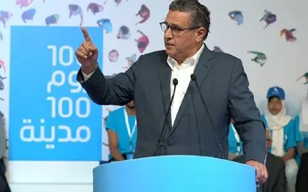 أخنوش يعلن ترشحه لخوض الانتخابات الجماعية المقبلة
