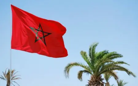 المغرب يدين الحملة الإعلامية التي تروج لمزاعم باختراق الهواتف