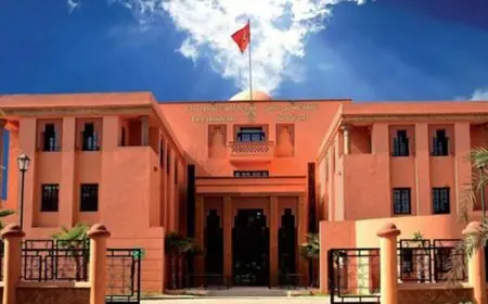 تصنيف عالمي يمنح جامعة القاضي عياض الريادة كأفضل جامعة في المغرب