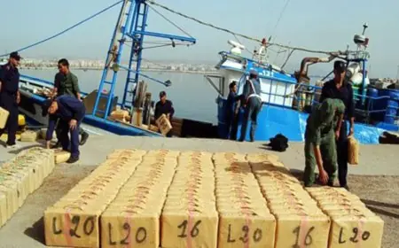 أمن الناظور يحبط محاولة تهريب 290 كلغ من مخدر الشيرا