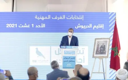 أخنوش: "نحن لا نبيع الوهم ولم ننتظر سنة 2021 لنتقدم للانتخابات.. اشتغلنا منذ سنوات ونحن نلتزم بتحقيق جميع أهداف ومصالح المواطنين"