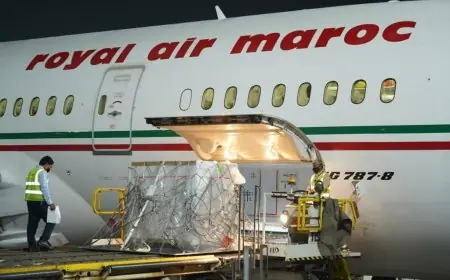 المغرب يتلقى 275 ألف جرعة من لقاح "فايزر"