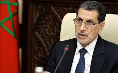 مجلس الحكومة يصادق على مشروع مرسوم يتعلق بالاستعمالات المشروعة للقنب الهندي