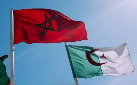 الجزائر تقرر قطع العلاقات الدبلوماسية مع المغرب