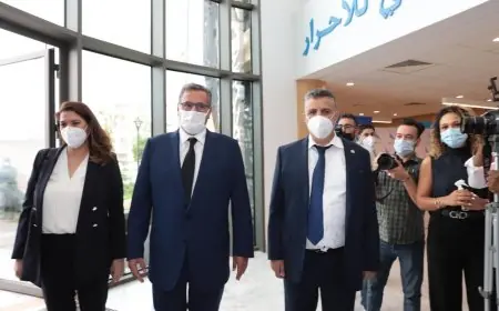 اخنوش يبدأ مشاورات تشكيل الحكومة مع وهبي وبركة
