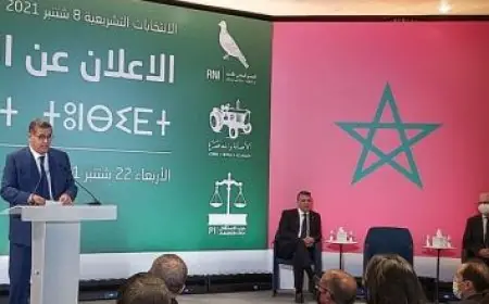 عزيز أخنوش يكشف عن أغلبية حكومية مكونة من 3 أحزاب