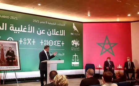وهبي: "يجب أن نقدم نموذجا لحكومة قوية منسجمة لإخراج المغرب من أزمته"