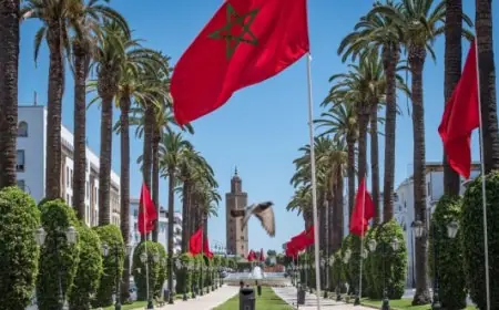 دراسة تؤكد أن المغرب أحد أكثر البلدان جذبا للاستثمارات في إفريقيا