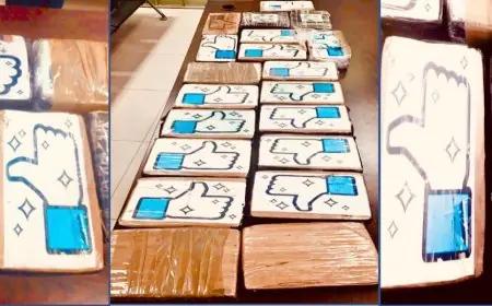 طنجة..إجهاض عملية للتهريب الدولي ل22 كيلوغرام من الكوكايين