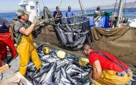 محكمة العدل الأوروبية تقضي بإلغاء اتفاقية الصيد البحري مع المغرب