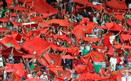 الجامعة تحسم الجدل بخصوص حضور الجمهور لمباراة الأسود أمام غينيا بيساو