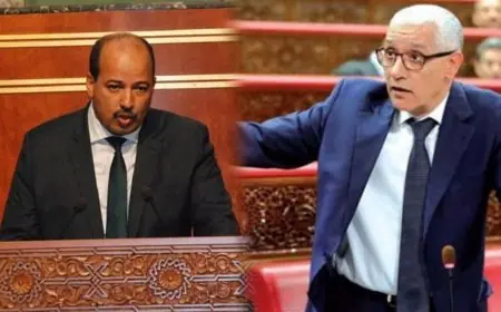 ترشيح راشيد الطالبي العلمي والنعم ميارة على التوالي لرئاسة مجلسي النواب والمستشارين