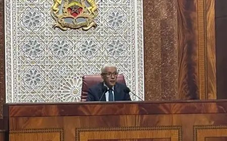 الطالبي العلمي: "الولاية التشريعية الـ11 تدشن لمرحلة جديدة من البناء الديمقراطي وترسيخ المؤسسات"